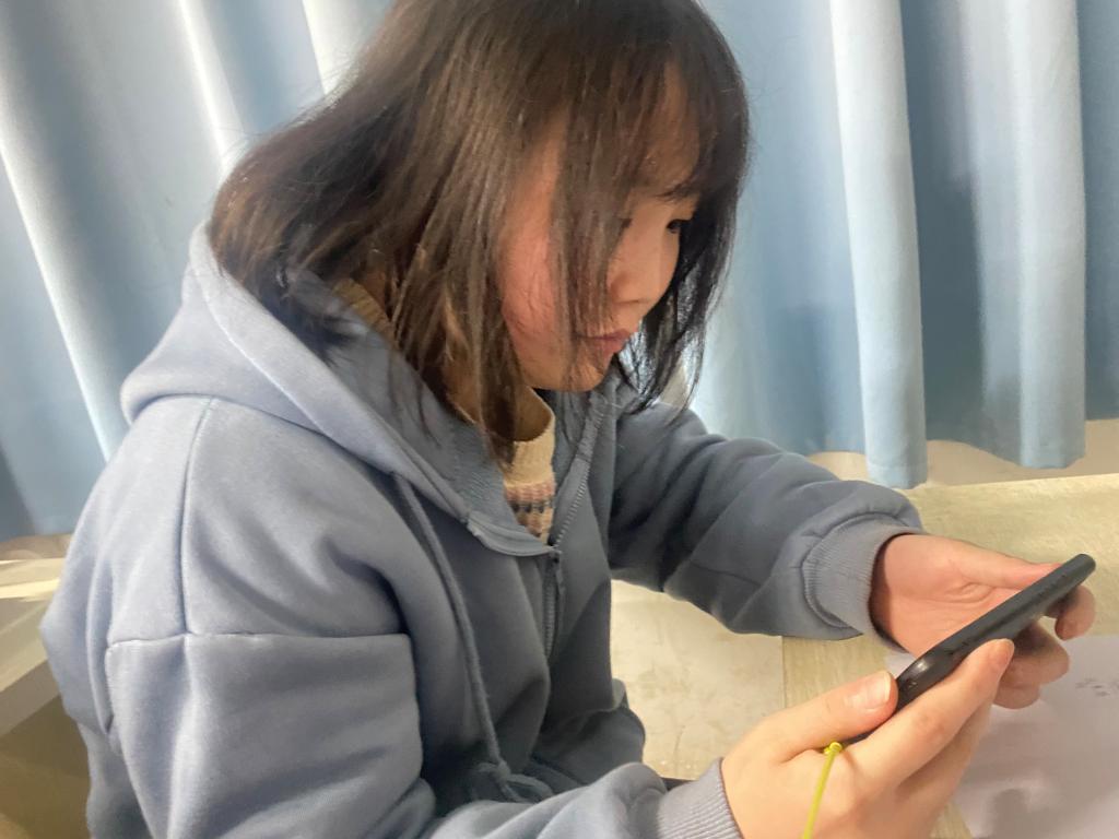 ylzz总站线路检测